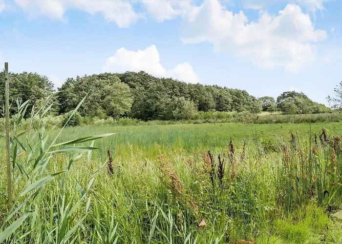 Sj263-haderslev-hejsager-strandby-159 別荘 *